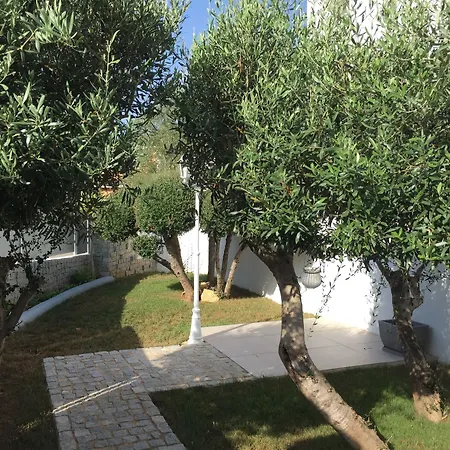 Villa Datils 6a